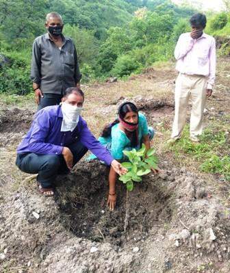 वर्षों से बंजर पड़ी भूमि को आवाद कर किया उद्यानीकरण