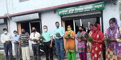 Plantation done to self-help groups for Rosemary cultivation