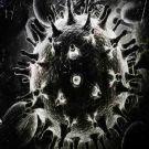 Black Fungus
