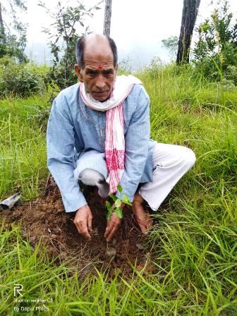 सुमन जी की पुण्यतिथि पर किया वृक्षारोपण