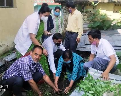 नागणी में हरेला पर वृक्षारोपण के साथ ऑनलाइन भाषण प्रतियोगिता