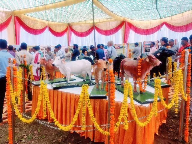 कृषि मंत्री सुबोध उनियाल ने यमकेश्वर के तल्ला बनास में किया किसान मेले का उद्घाटन