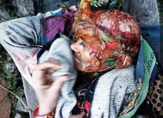 गजा के बेरनी गाओं में बाघ का आतंक, बृद्ध महिला को बनाया निवाला