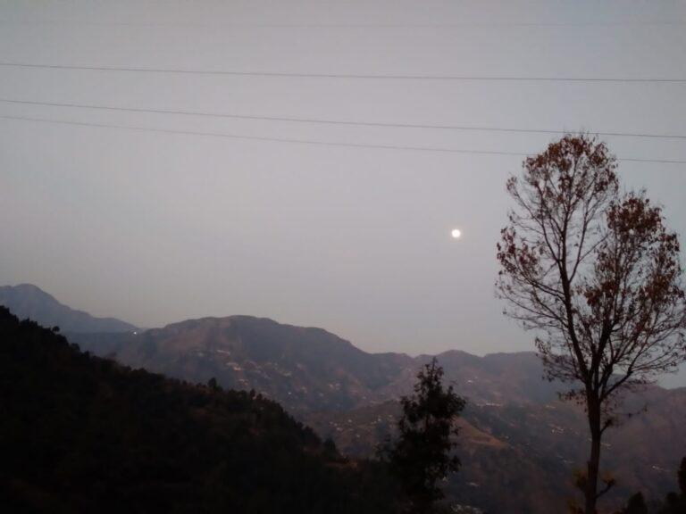 IMG-20220218-WA0008