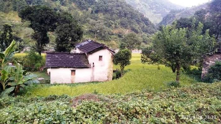 कृषि और पशुपालन हैं-अन्योन्याश्रित, संतुलित रखते हैं पारिस्थितिकी तंत्र