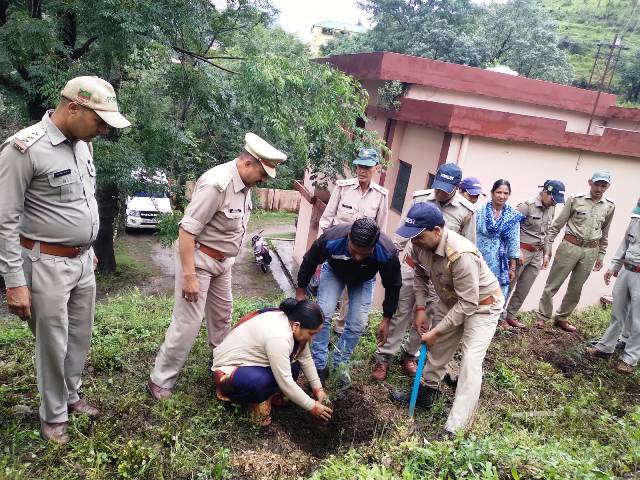 वन महोत्सव पखवाड़े के अंतर्गत किया गया वृक्षारोपण, वन विभाग अधिकारियों और कर्मचारियों के द्वारा रोपे गए पौधे