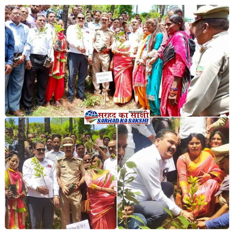 mla pnagar