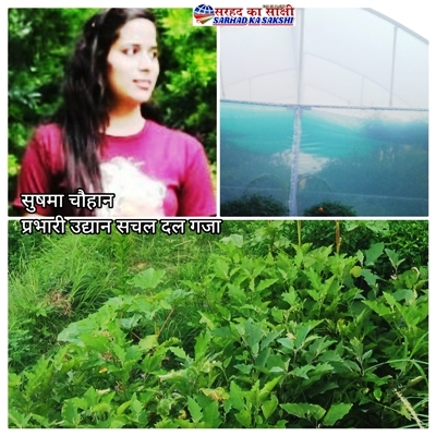 अच्छी खबर: अस्सी फीसदी अनुदान पर लगायें पाली हाऊस और स्वयं उगायें ताजी सब्जियां, यहां पायें पूरी जानकारी