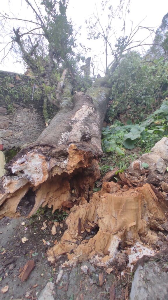 गुरुवार, 22 सितम्बर 2022 की खुशहाल भोर, ईश्वरानुकम्पा के चलते अकाल कलवित होने से बचा परिवार