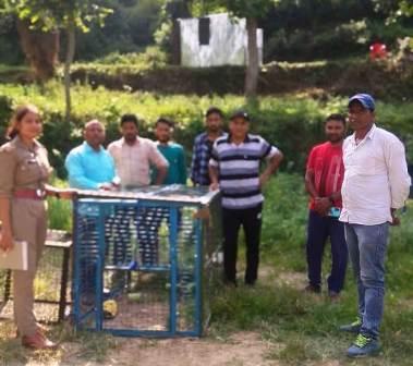 बंदरों के आतंक का स्थायी समाधान निकाले सरकार, पिंजरा लगाकर पकड़ना वैकल्पिक