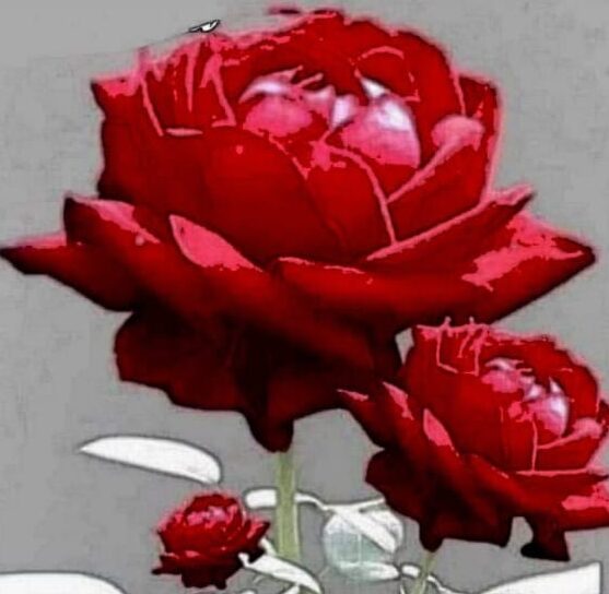 आंग्ल नववर्ष की मंगलमय शुभकामनाओं के साथ एक कविता