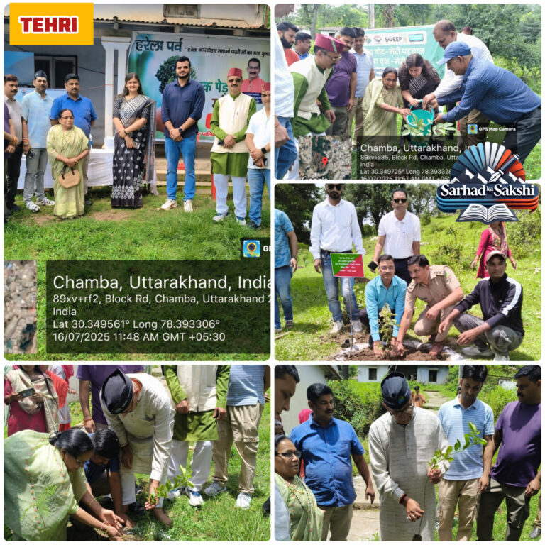 हरेला पर्व पर टिहरी जनपद में 70,206 पौधों का रोपण, पर्यटन और पर्यावरण संरक्षण को मिला बढ़ावा