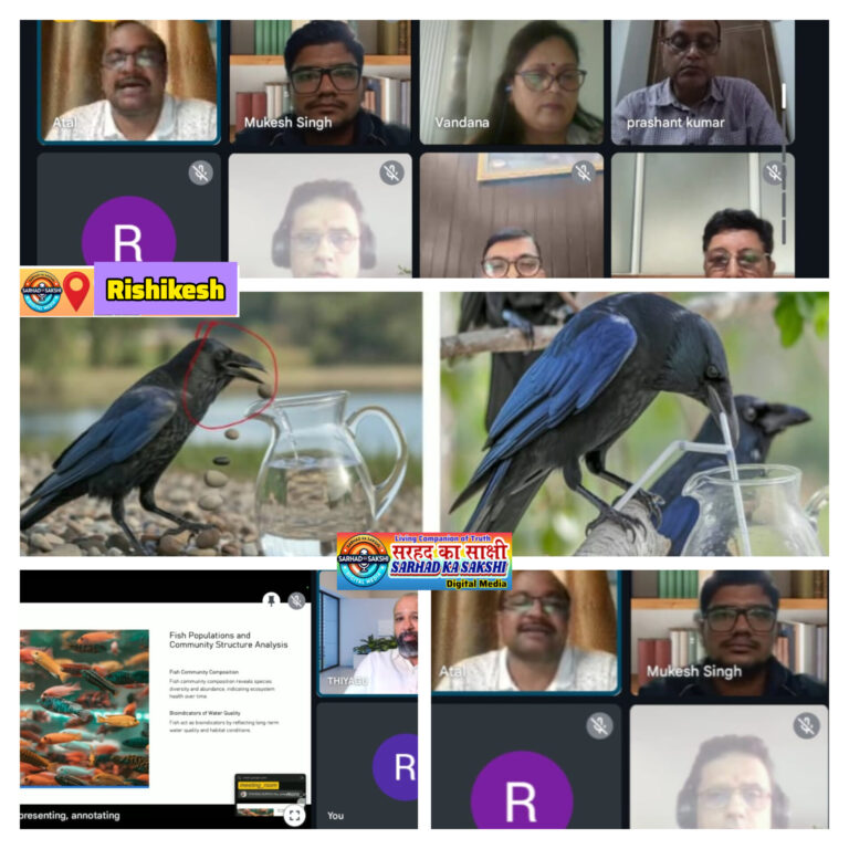 ए.आई., एम.ओ.ओ.सी.एस. और डिजिटल पैडागॉजी पर सात दिवसीय फैकल्टी डेवलपमेंट प्रोग्राम का सफल समापन श्रीदेव सुमन विश्वविद्यालय में विशेषज्ञों ने एआई टूल्स, MOOCs डिज़ाइन और डिजिटल शिक्षण की नई संभावनाओं पर साझा किए व्यावहारिक दृष्टिकोण