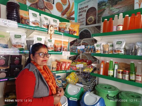 लोकल से वोकल बनी पहचान: गौंसारी की कृष्णा चौहान बनीं ‘लखपति दीदी’, भीमल शैम्पू–साबुन से लाखों का कारोबार