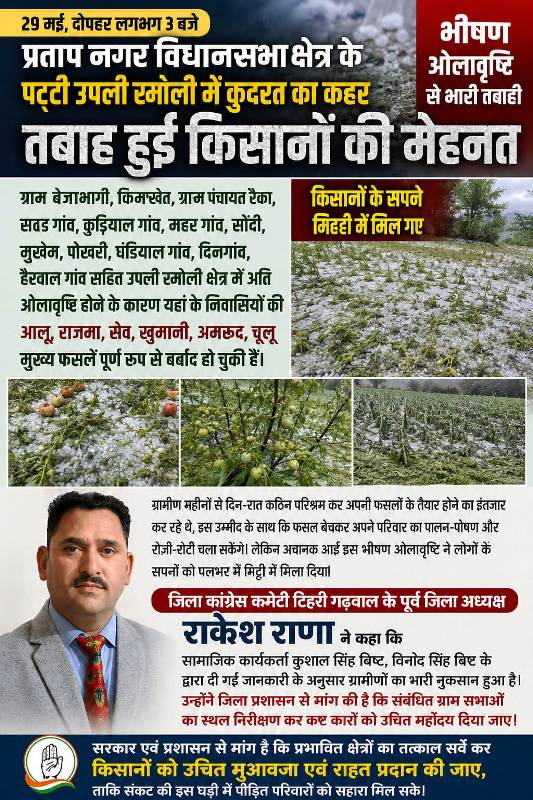 प्रतापनगर में कुदरत का कहर: भीषण ओलावृष्टि से किसानों की फसलें तबाह, राहत और मुआवजे की मांग