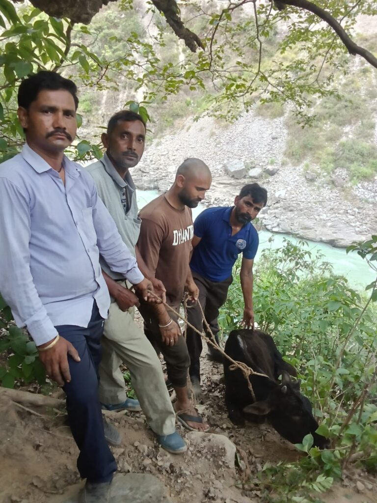देवप्रयाग में मानवता की मिसाल: तीन दिन से चट्टानों के बीच फंसी गाय का सफल रेस्क्यू
