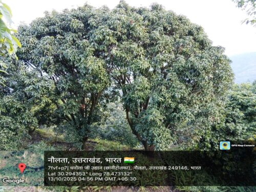 फलोद्यान : प्रकृति और अर्थव्यवस्था का सुंदर संगम