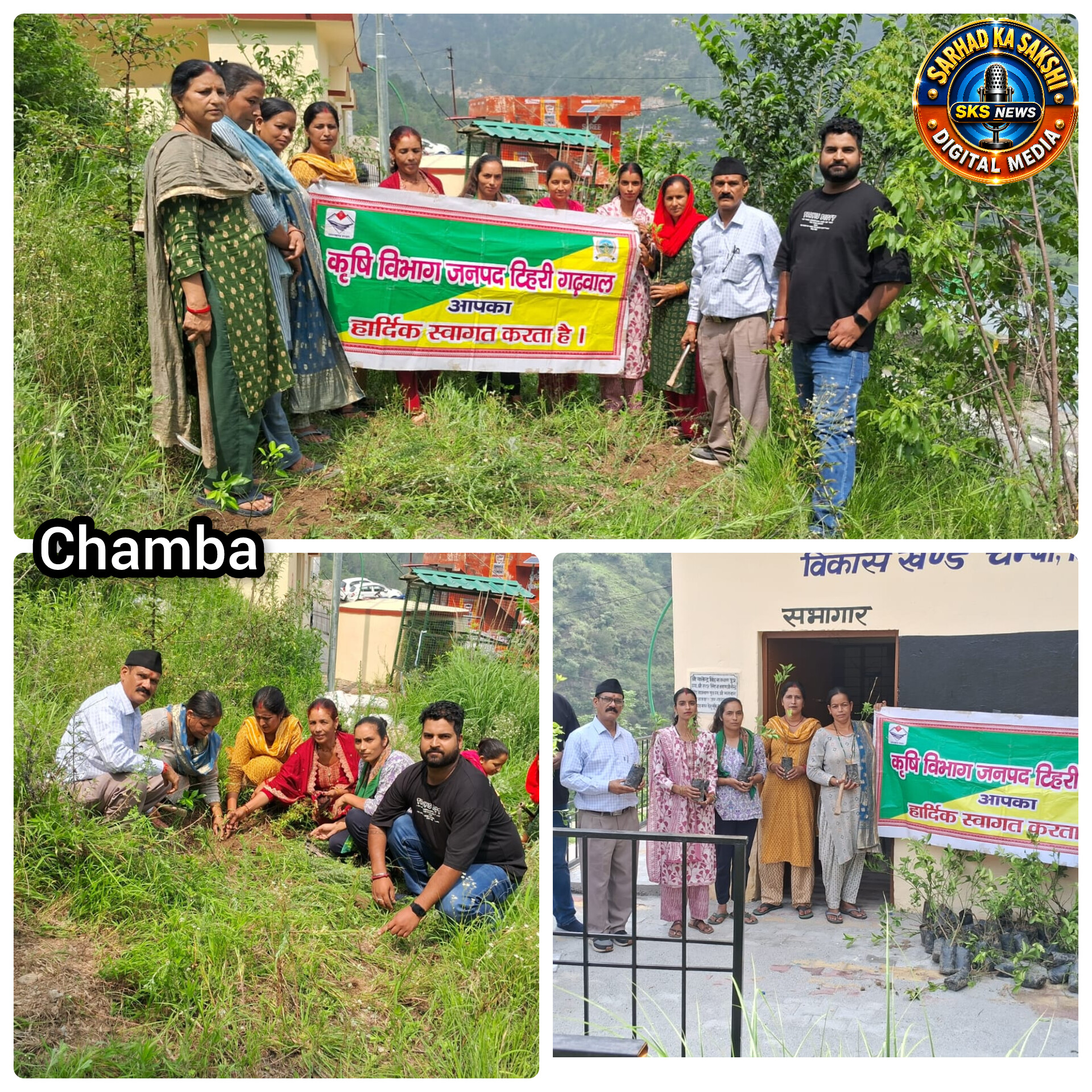 हरेला पर्व पर कृषि विभाग का पौधारोपण अभियान, ग्राम पाली में लगाए गए 250 नींबू एवं माल्टा के पौधे