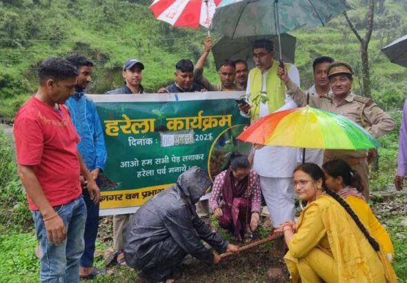 हरेला पर्व पर जूनियर हाई स्कूल मजगांव में पौधारोपण एवं पर्यावरण जागरूकता कार्यशाला आयोजित