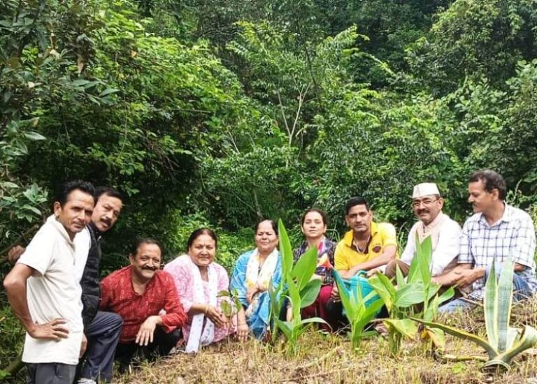 चंबा में कांग्रेस कार्यकर्ताओं ने किया पौधारोपण, पर्यावरण संरक्षण का दिया संदेश