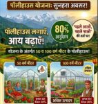 टिहरी में किसानों के लिए सुनहरा अवसर: पॉलीहाउस पर 80 प्रतिशत तक अनुदान, उद्यान विभाग की योजनाओं का उठाएं लाभ